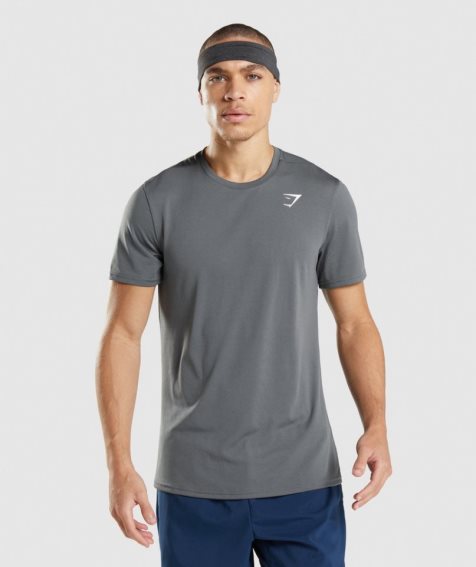 Koszulki Gymshark Arrival Męskie Szare | PL 534PXF